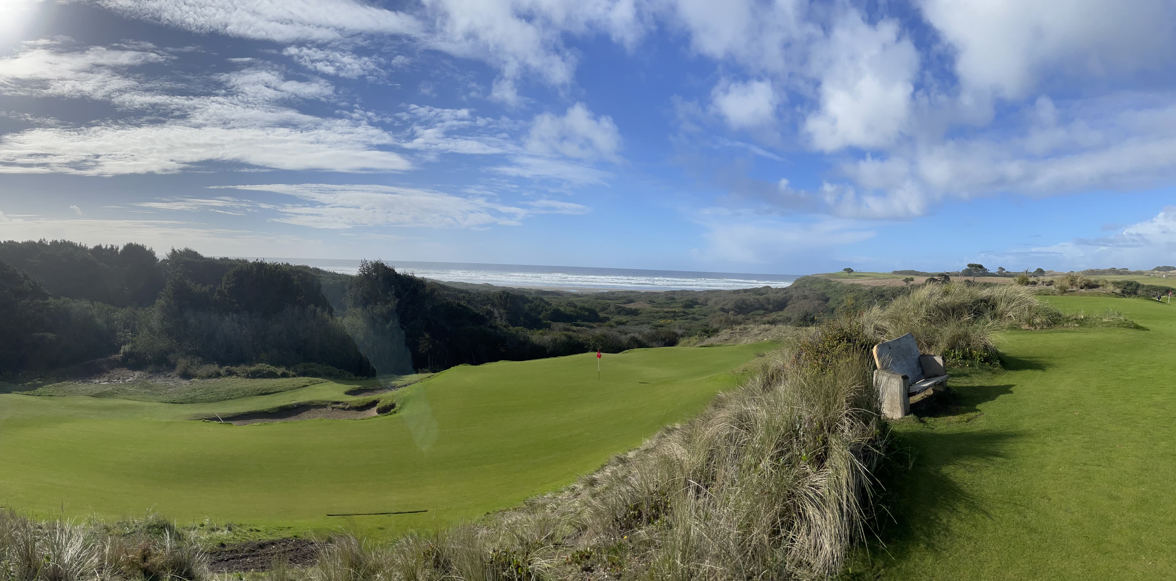 Green beside the ocean